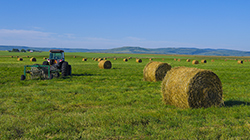 Agricultural