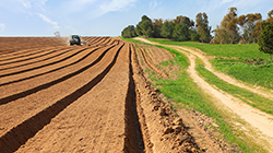 Agricultural